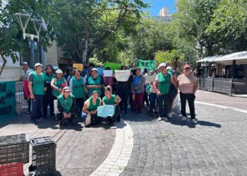 “Caravanazo” y “frutazo” en Mendoza: productores regalaron alimentos en reclamo por los bajos precios