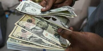 Más dólares y nuevos mercados: el agro arranca 2026 con impulso exportador y señales de oportunidad