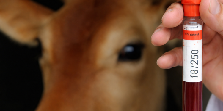 El colegio veterinario de Santa Fe cuestiona medida «unilateral» de Senasa
