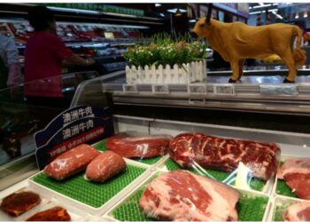 China mejora los precios que paga por la carne vacuna