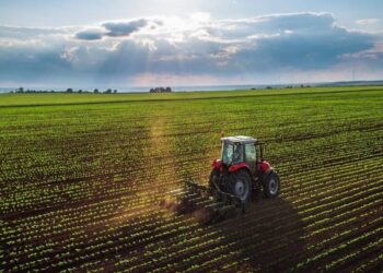 Argentina en la mesa global: el 75% del planeta consume su producción
