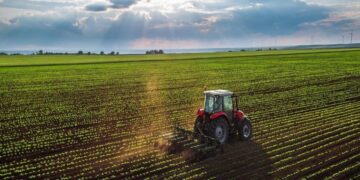 Argentina en la mesa global: el 75% del planeta consume su producción