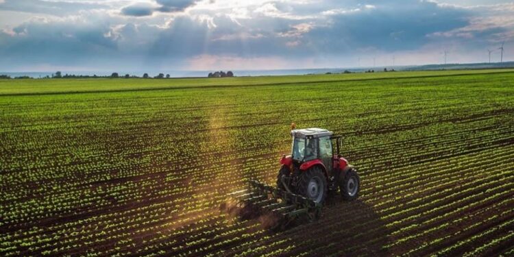 Argentina en la mesa global: el 75% del planeta consume su producción
