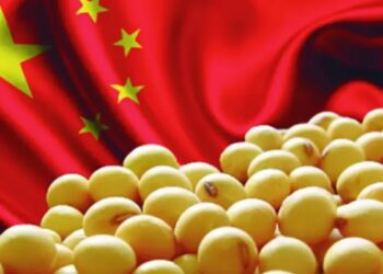 China importó más soja que nunca y el 83% llegó de Sudamérica
