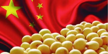 China importó más soja que nunca y el 83% llegó de Sudamérica