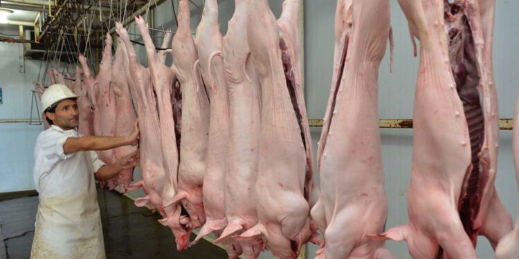 La producción de carne porcina sigue creciendo y suple el retroceso de la bovina