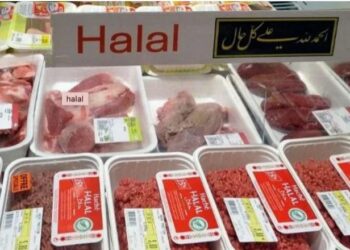 Argentina refuerza su vínculo comercial con Turquía y abre expectativas en carne “halal”