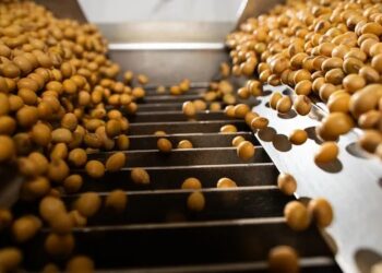 Rosario será sede de uno de los encuentros más relevantes a nivel global en gestión agrícola