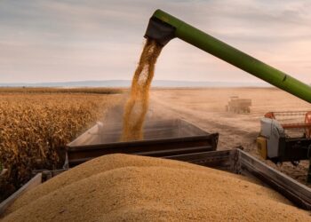 Horas clave en una licitación estratégica para el agro: se abren los sobres con el futuro de la hidrovía