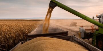 Horas clave en una licitación estratégica para el agro: se abren los sobres con el futuro de la hidrovía
