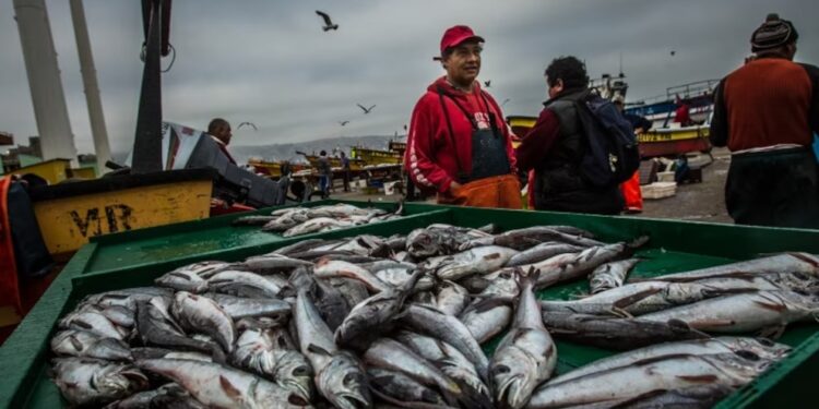 Exportaciones pesqueras récord