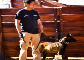 Perros entrenados refuerzan la defensa citrícola del NOA frente al HLB