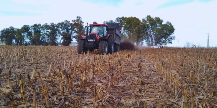 “Dejó de ser un residuo”: en Villegas, las aplicaciones de estiércol elevaron los rindes un 26%