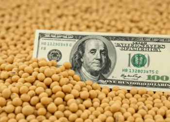 La caída de la liquidación no fue casualidad: en febrero se desplomaron las ventas y molienda de soja