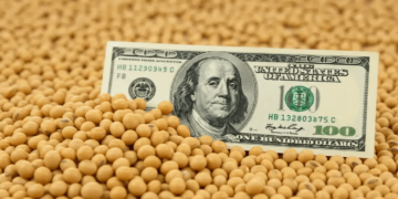 La caída de la liquidación no fue casualidad: en febrero se desplomaron las ventas y molienda de soja