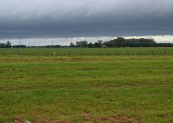 El desafío de pronosticar el clima en el NOA: cuando la precisión se vuelve una decisión económica