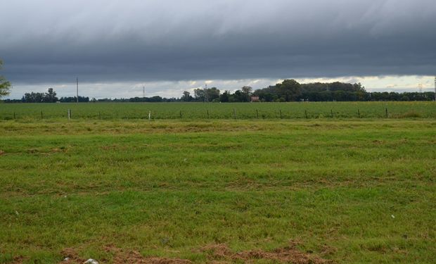 El desafío de pronosticar el clima en el NOA: cuando la precisión se vuelve una decisión económica