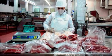 Crisis y expectativa en la carne: entre la escasez y la reconstrucción del rodeo