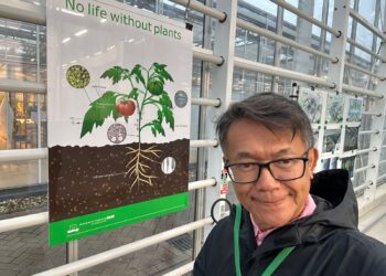 Una mirada global para un desafío local: las claves que trae Hasegawa para la frutihorticultura del NOA