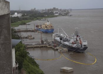 Exportaciones récord: el primer trimestre refuerza la proyección del mejor año de la historia
