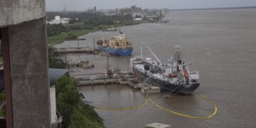 Exportaciones récord: el primer trimestre refuerza la proyección del mejor año de la historia