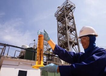 El sebo bovino gana valor: una certificación habilita exportarlo como biocombustible