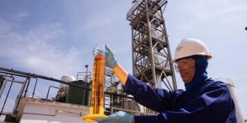 El sebo bovino gana valor: una certificación habilita exportarlo como biocombustible