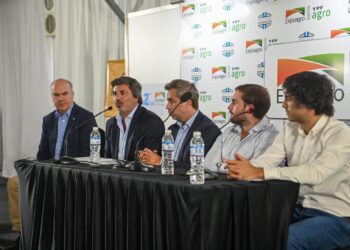 El Gobierno amplió la línea de créditos a valor novillo: también se podrá usar para recría y engorde