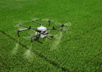 Especialistas de Casafe pusieron bajo la lupa las aplicaciones con drones