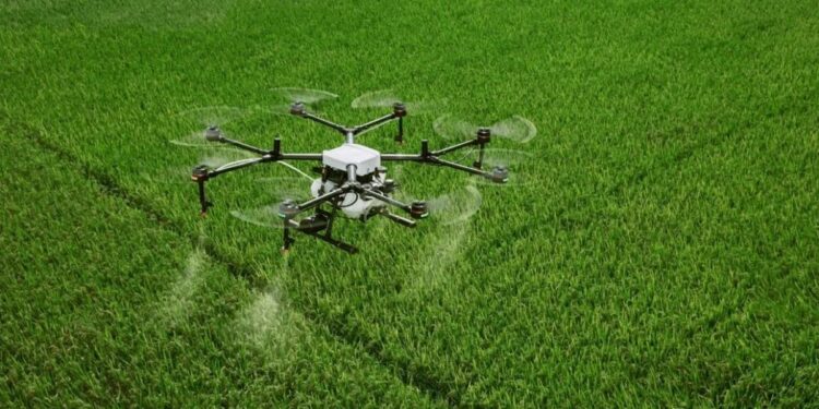 Especialistas de Casafe pusieron bajo la lupa las aplicaciones con drones