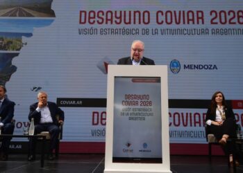 Tasas y competitividad: la cadena vitivinícola apuntó sus reclamos al difícil contexto financiero