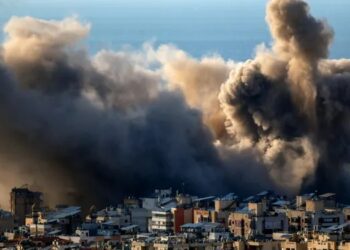 Los precios de la soja, trigo y maíz en sus niveles más altos: hay presión del mercado por la guerra