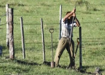 Día del Ruralista Argentino: por qué se celebra un 18 de marzo