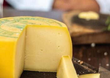 Un queso con identidad: Tafí del Valle logra el primer sello de origen lácteo del país