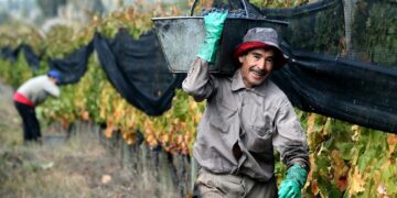 Empleo rural en foco: una nueva herramienta busca ordenar el mercado laboral del campo
