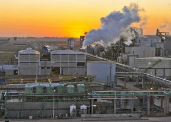 Cambio de tendencia en la soja: la industria aceitera retoma protagonismo para motorizar el mercado