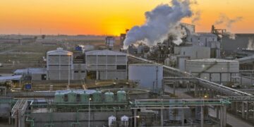 Cambio de tendencia en la soja: la industria aceitera retoma protagonismo para motorizar el mercado