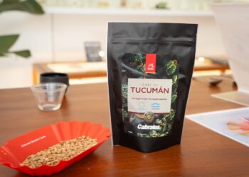 De Tucumán al mundo: Argentina tiene el primer café con sello de origen nacional