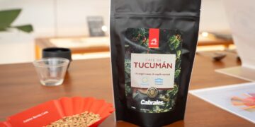 De Tucumán al mundo: Argentina tiene el primer café con sello de origen nacional