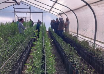 Lules se proyecta al futuro con una expo que pone en valor la frutihorticultura del NOA