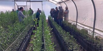 Lules se proyecta al futuro con una expo que pone en valor la frutihorticultura del NOA