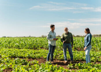 Ordenar para crecer: el desafío silencioso que define el futuro de las empresas agropecuarias