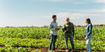 Ordenar para crecer: el desafío silencioso que define el futuro de las empresas agropecuarias