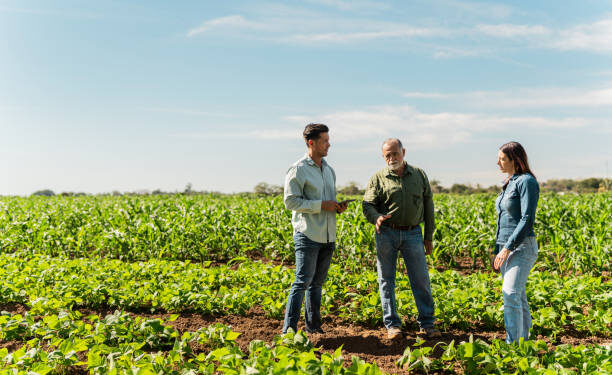 Ordenar para crecer: el desafío silencioso que define el futuro de las empresas agropecuarias
