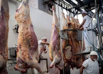 El precio de la carne vacuna: los frigoríficos confían en que “dejará de ser noticia” en mayo