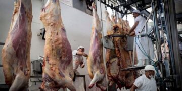 El precio de la carne vacuna: los frigoríficos confían en que “dejará de ser noticia” en mayo