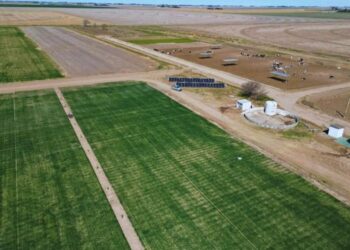 El Gobierno confirmó que no tiene medidas específicas para ayudar al productor ante el aumento de costos para el trigo