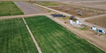 El Gobierno confirmó que no tiene medidas específicas para ayudar al productor ante el aumento de costos para el trigo