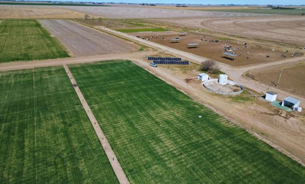 El Gobierno confirmó que no tiene medidas específicas para ayudar al productor ante el aumento de costos para el trigo
