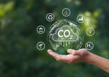 Mercados de carbono: Europa da una señal para un negocio que empieza a tomar forma en Argentina